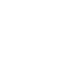 Strengthened leadership