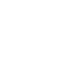 Systems built to endure